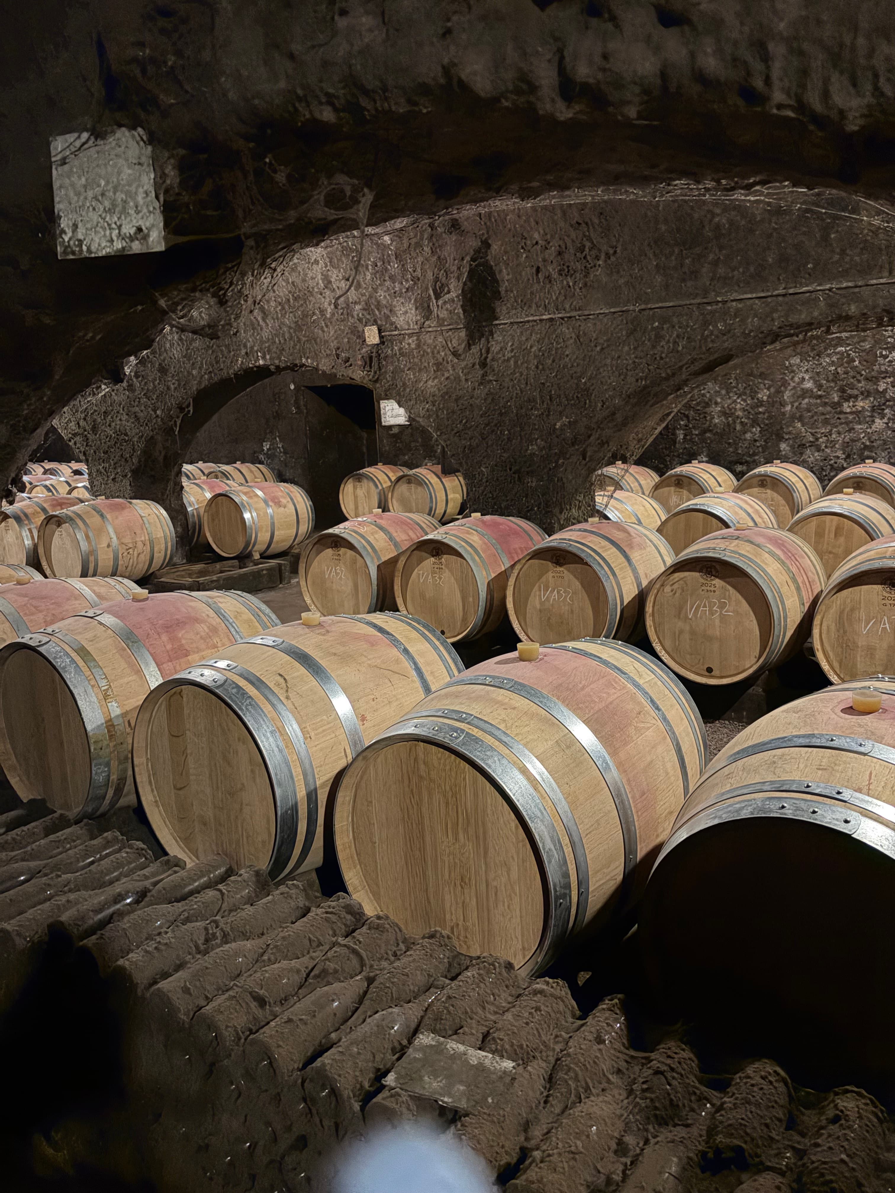 đ· Dans les coulisses de la Maison Louis Latour : du terroir Ă lâassiette !